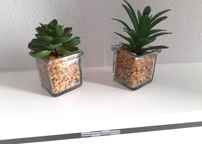 Louisa's Apartamento